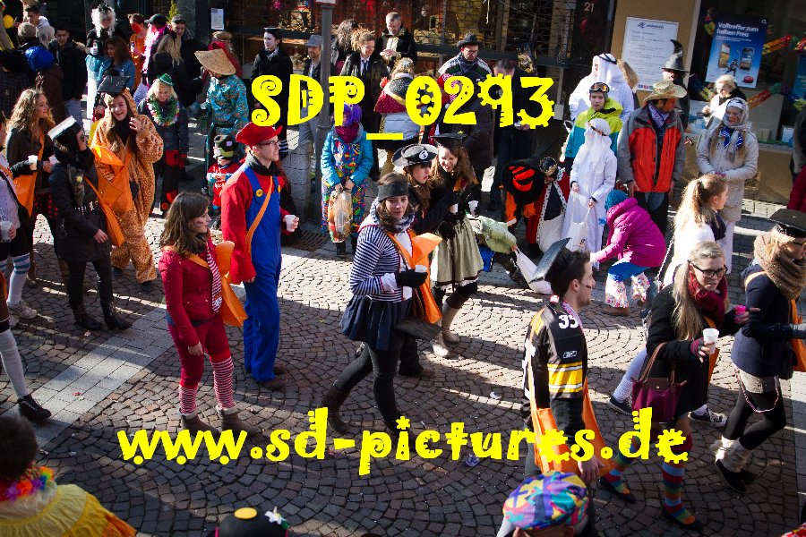 SDP 0293