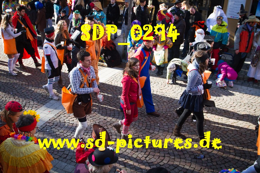 SDP 0294