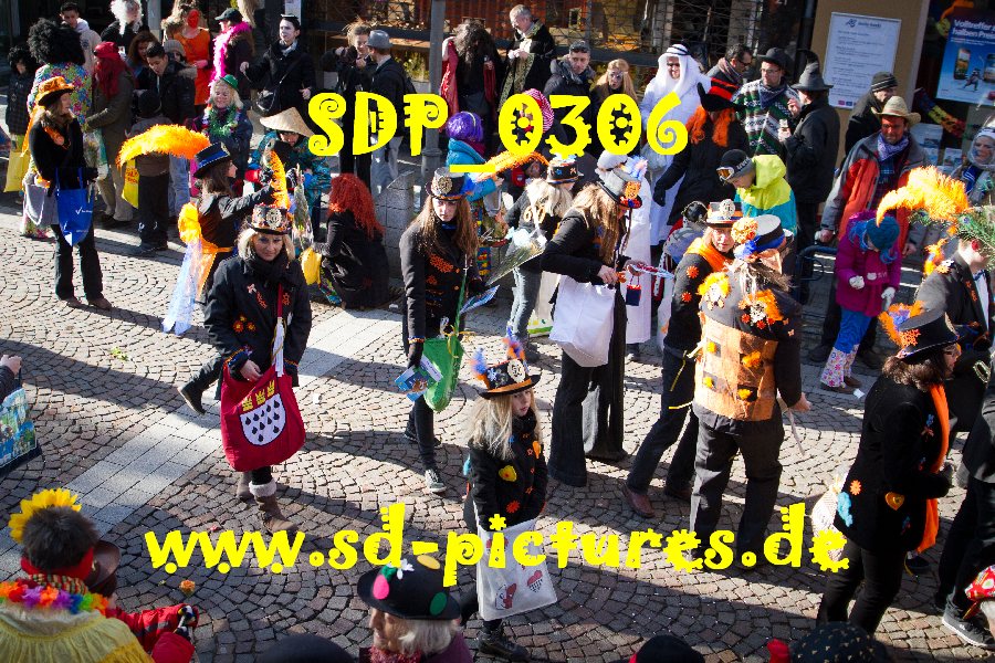 SDP 0306