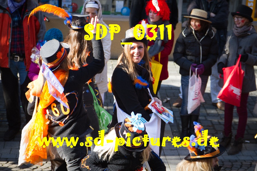 SDP 0311