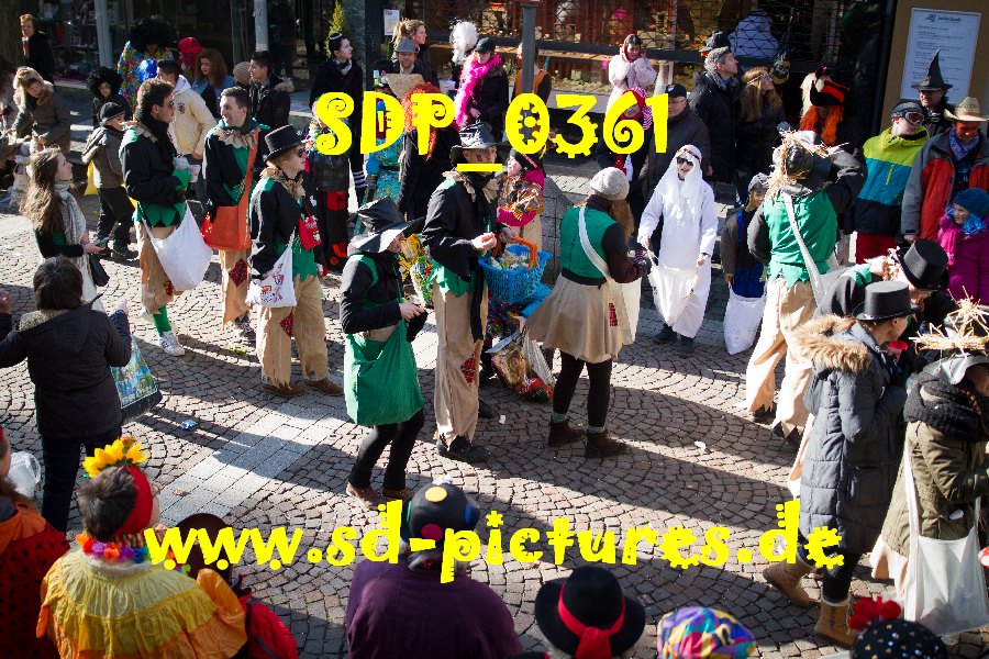 SDP 0361
