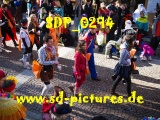 Tn SDP 0294