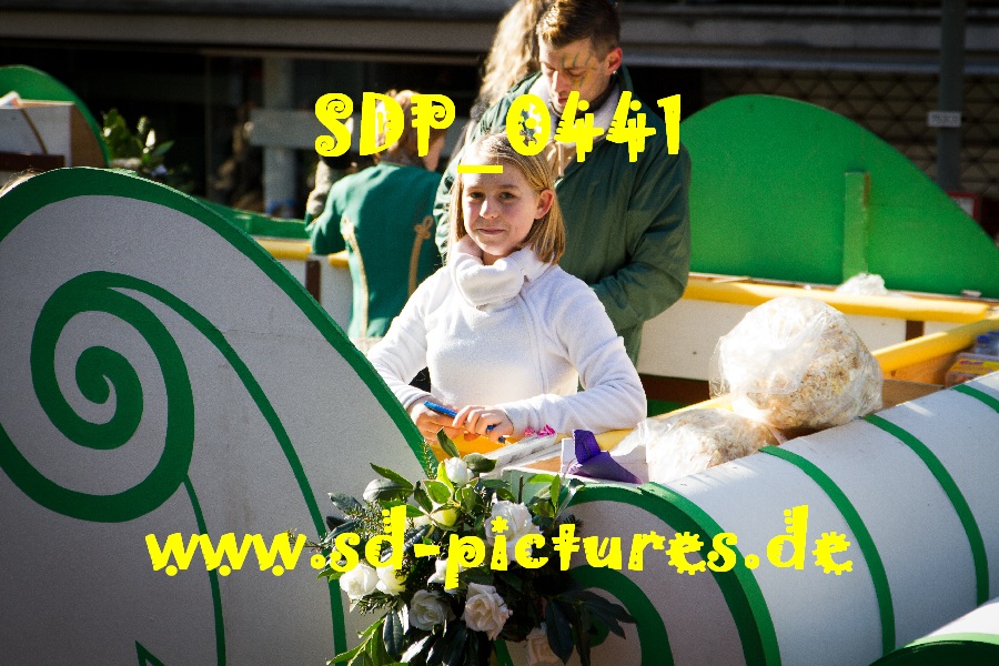 SDP 0441