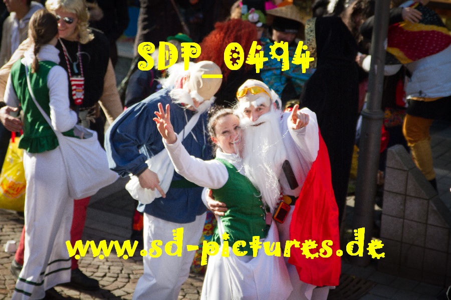 SDP 0494