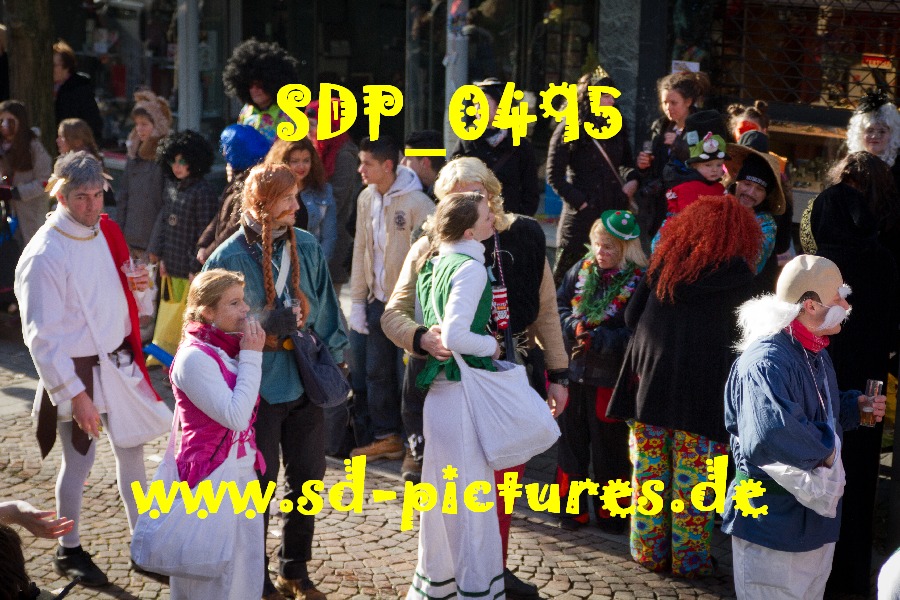 SDP 0495
