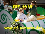 Tn SDP 0440