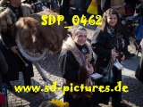 Tn SDP 0462