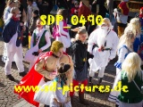Tn SDP 0490