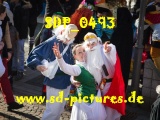 Tn SDP 0493