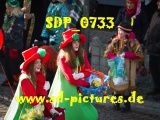 Tn SDP 0733