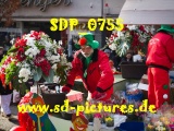 Tn SDP 0755