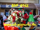Tn SDP 0762