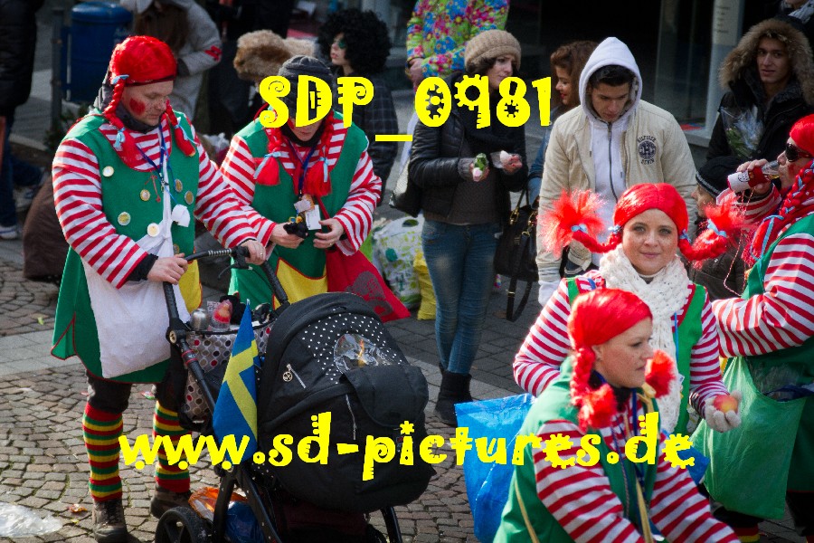 SDP 0981