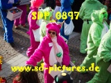 Tn SDP 0897