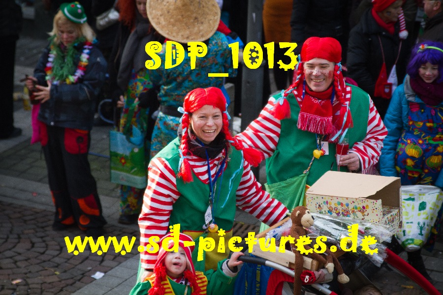 SDP 1013