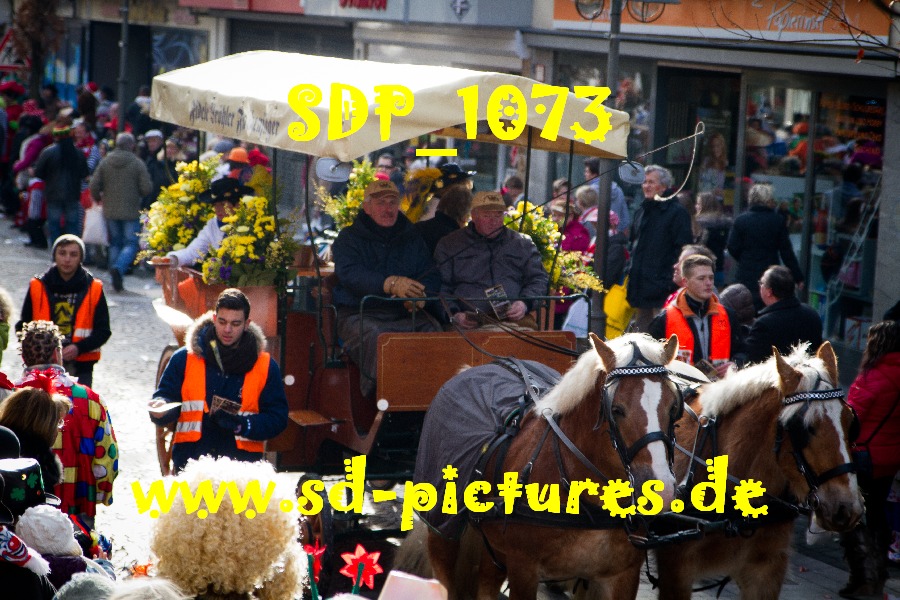SDP 1073