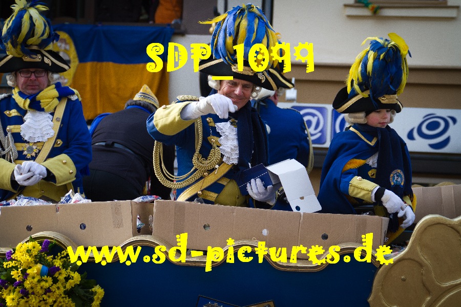SDP 1099