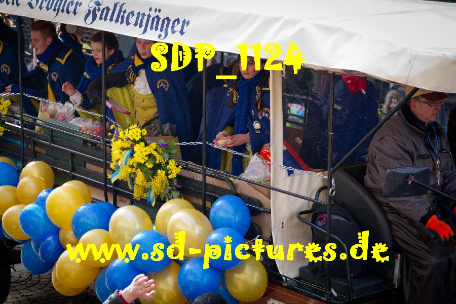 SDP 1124