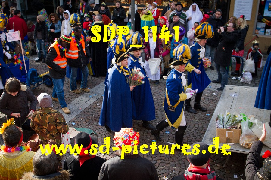 SDP 1141
