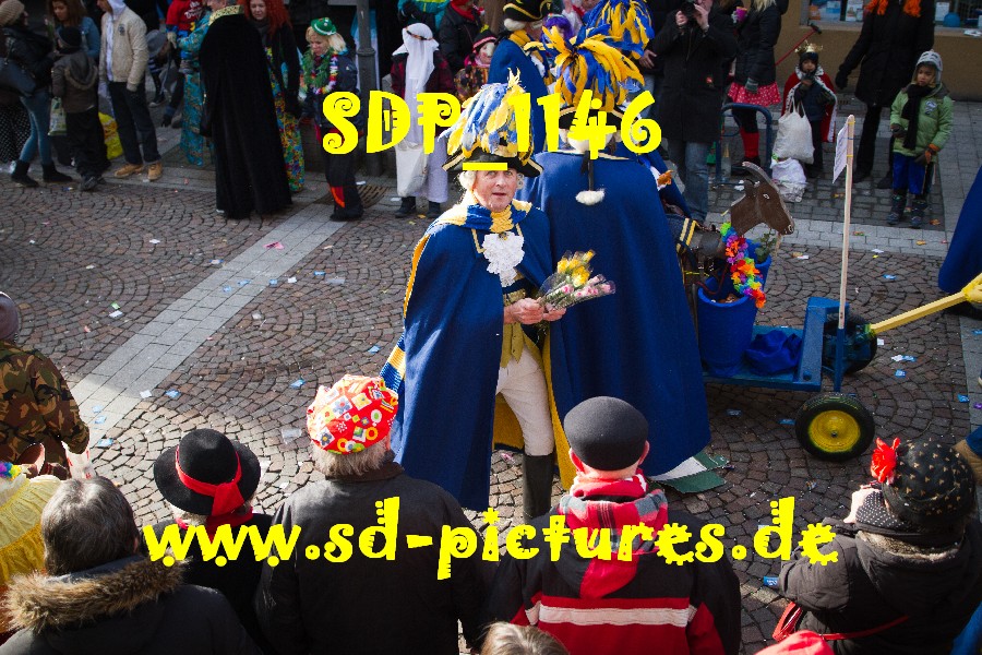 SDP 1146