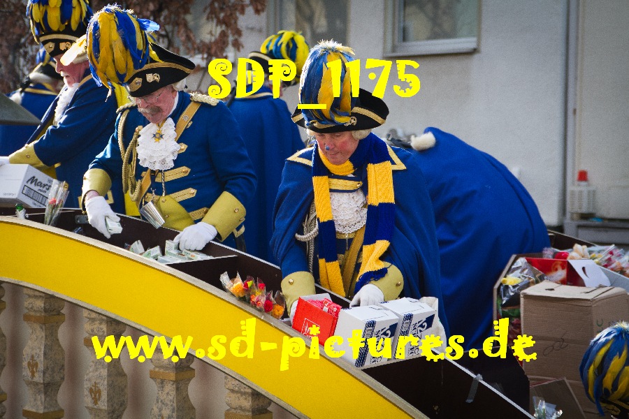 SDP 1175