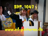 Tn SDP 1047