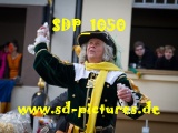 Tn SDP 1050