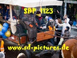 Tn SDP 1123