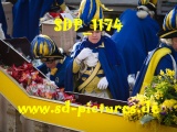 Tn SDP 1174