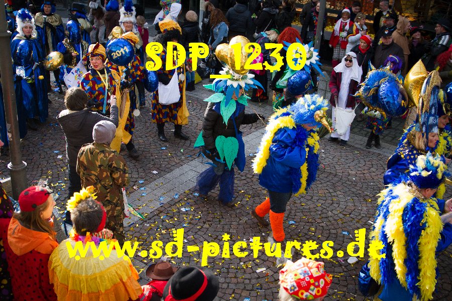 SDP 1230
