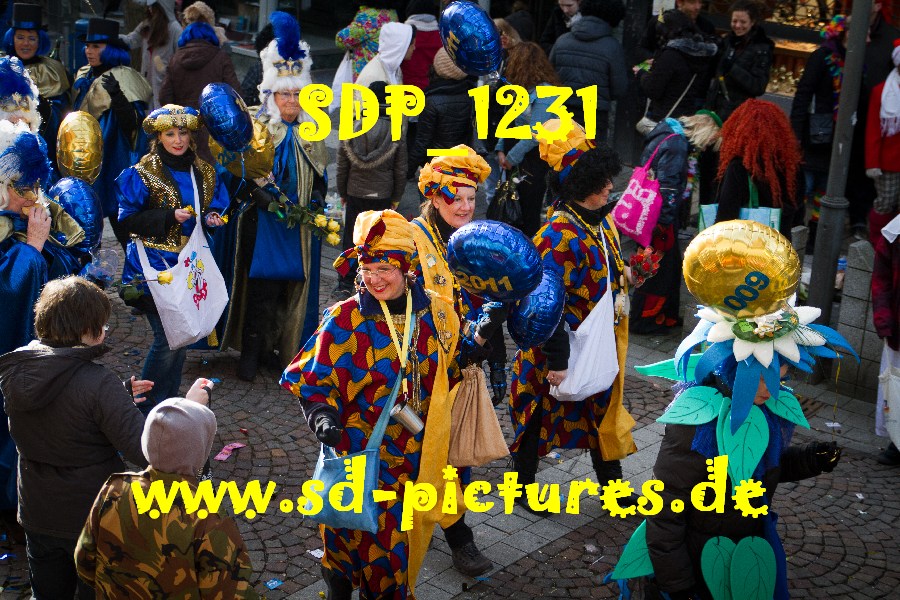 SDP 1231