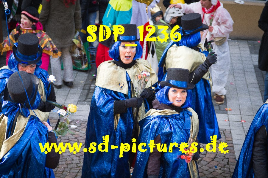 SDP 1236