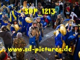 Tn SDP 1213