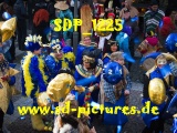 Tn SDP 1225