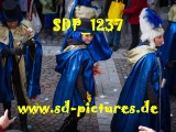 Tn SDP 1237