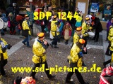 Tn SDP 1244