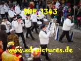 Tn SDP 1343