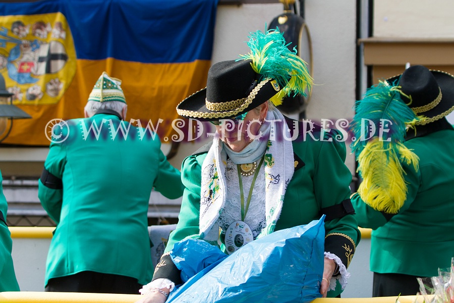 WEB SDP 0538