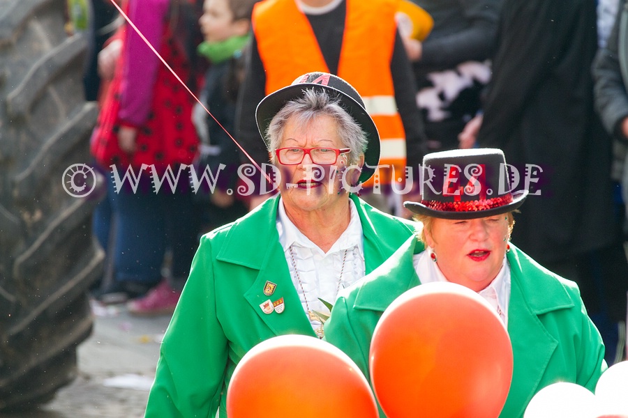 WEB SDP 0935