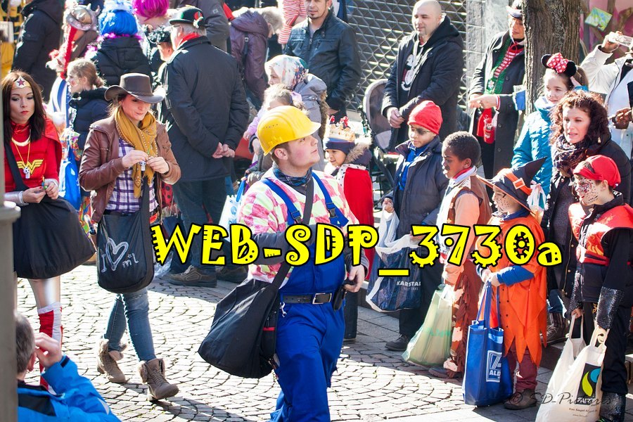 WEB SDP 3730a
