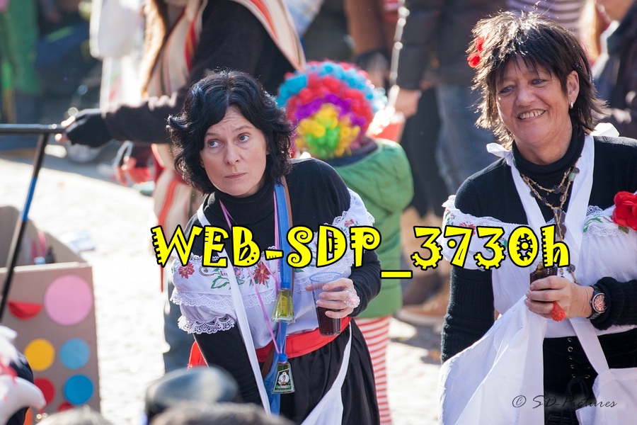 WEB SDP 3730h