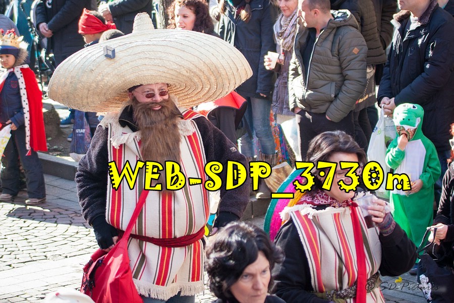 WEB SDP 3730m