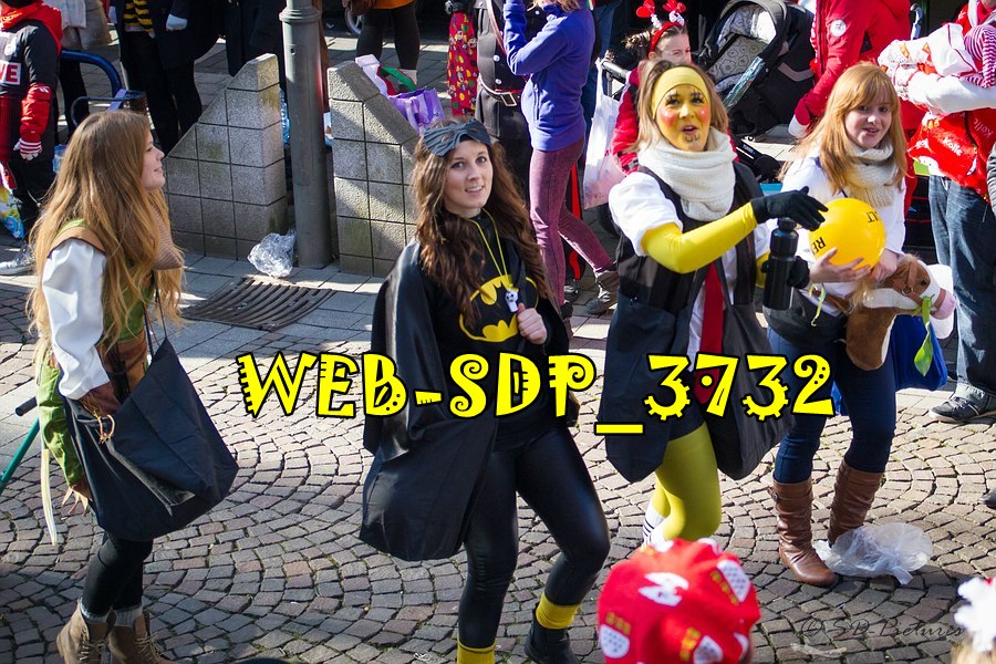 WEB SDP 3732
