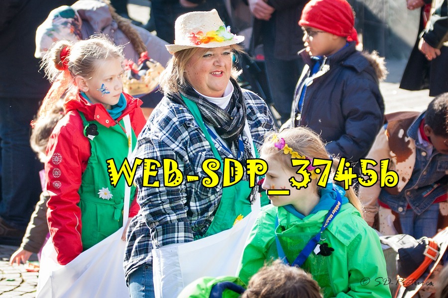 WEB SDP 3745b
