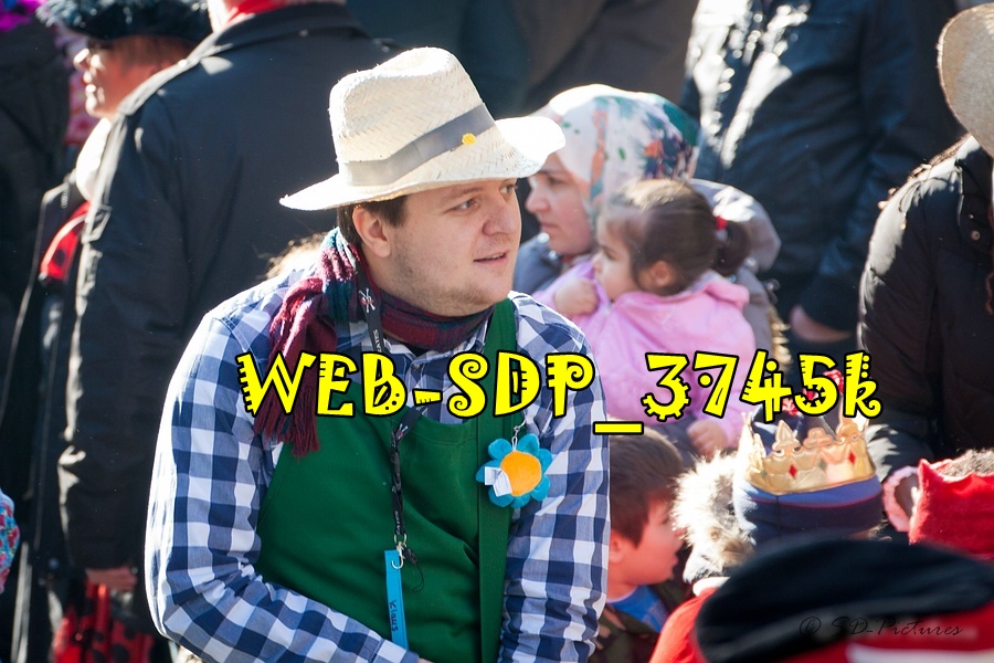 WEB SDP 3745k