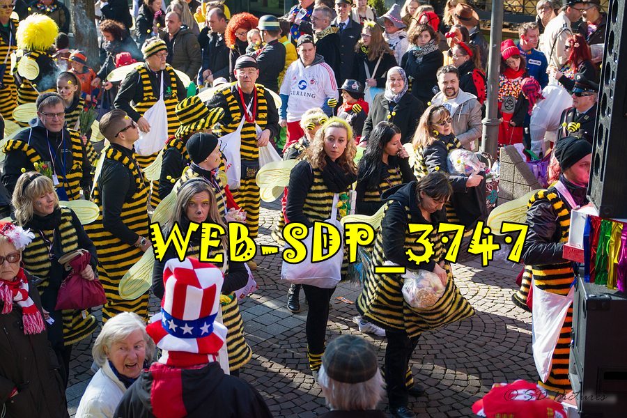 WEB SDP 3747