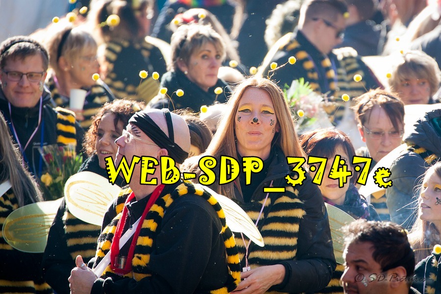 WEB SDP 3747e