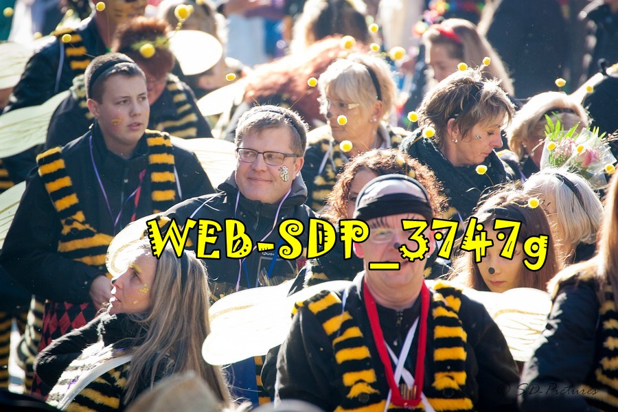 WEB SDP 3747g