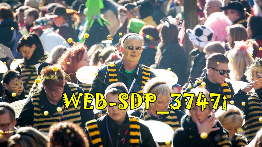 WEB SDP 3747i