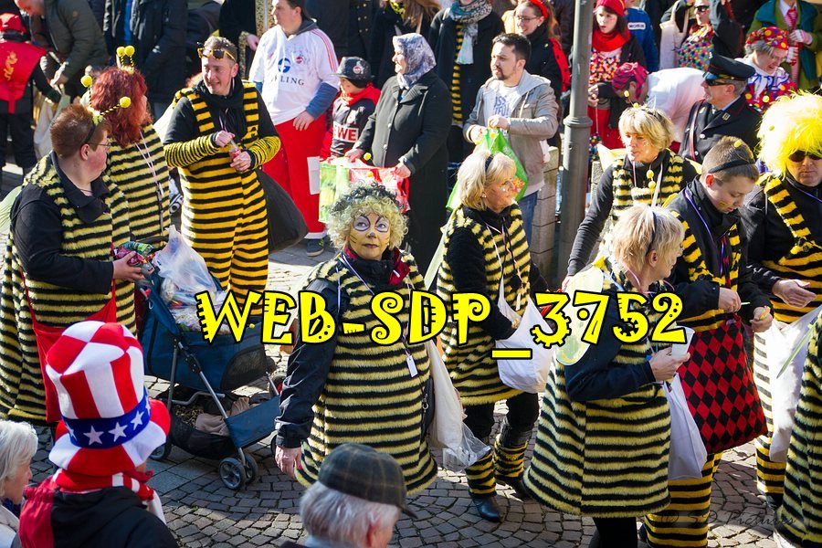 WEB SDP 3752
